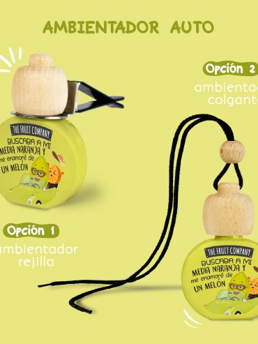 tfc_coche_melon_2_usos